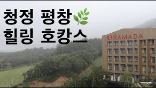 청정 강원도 호텔 | 평창 호텔 | 라마다 호텔 \u0026 스위트 강원 평창 | 평창 라마다 호텔 | 가성비 호텔 | 스탠다드룸 리뷰