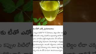 వేపాకు టీ తో ఎన్నో ప్రయోజనాలు #shortvideos #healthytips #ytshorts