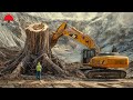 Amazing Fastest Big Tree Removal Excavator | Fastest Stump Grinding Machine Wood Working #2020