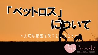 【ペットロス】大切な家族を失うということ