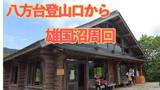 八方台登山口より、雄国沼を周回！