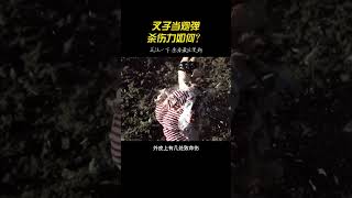 流言终结者：叉子当炮弹，杀伤力如何？ #流言终结者 #加勒比海盗 #叉子炮弹