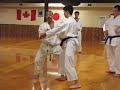 sensei minarik bassai sho bunkai