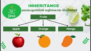 inheritance in java malayalam | java inheritance malayalam | malayalam | Code eureka