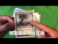 【mtg】懐かしいマナクリーチャーを紹介します【極楽鳥】