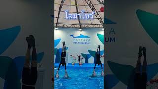 โลมาโชว์ #โลมา #พัทยา #ท่องเที่ยว #show #dolphin  #สัตว์โลกน่ารัก #shorts