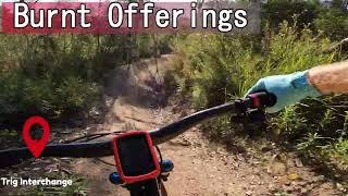 Burnt Offerings - New Mogo Trails - Mogo NSW