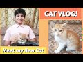 Meet My New Cat - A Cat Rescue Story! + Feeding the Kitten for the First Time