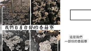 埔里特產 自產自銷 乾香菇 一台斤 開菇 香菇絲