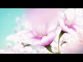 tyler, the creator & frank ocean - where this flower blooms { slowed + reverb }