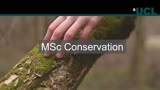 MSc Conservation