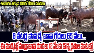 ఎర్రగడ్డ ఆదివారం గేదల మార్కెట్ 18-02-24 | Erragadda Buffalo Market | Calf For Sale | Kiran TV Rythu