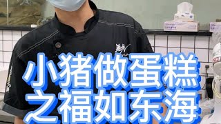 【小猪送蛋糕】 福如东海 寿比南山 快给家里的长辈安排它吧!