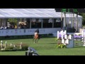 video of winston ridden by maria costa from shownet