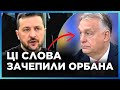 ПОДИВІТЬСЯ на РЕАКЦІЮ Орбана! Слова Зеленського ЗАЧЕПИЛИ всіх в Угорщині. Промова на саміті