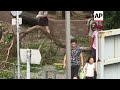 Typhoon Mangkhut destroys waterfront walkway and cycle track in Hong Kong