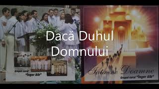 Dacă Duhul Domnului - Înger Alb