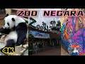 ZOO NEGARA MALAYSIA 🇲🇾  National Zoo of Malaysia 🇲🇾  马来西亚国家动物园