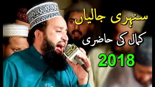 Khalid Hasnain Khalid  New Naats 2018  Sunehri Jaliyan By Faroogh E Naat & Qadri Attari Sound