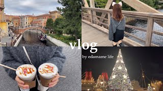 【Disney vlog】クリスマスディズニーを満喫する1日｜昼間からビール｜ゴンドラから見た花火🎄