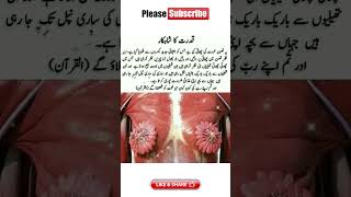 Urdu quotes Allah ki qudrat #shortsfeed #youtubeshorts #viral