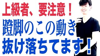 2024年11月26日｜太極拳｜24式太極拳｜東京•神奈川•埼玉•千葉•群馬で武術太極拳選手権大会にて入賞、優勝、トップを狙うなら太極拳スタジオ氣凛！大畑太極拳にお任せ！