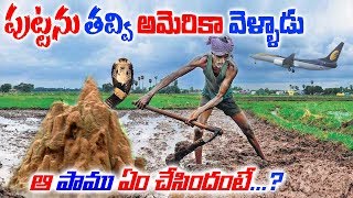 పుట్టలో ఉన్న పిల్లపామును చంపి అమెరికా వెళ్ళాడు పాము అతన్ని ఏం చేసిందో తెలుసా? Real Snake Story in AP