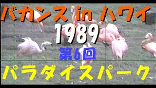 バカンス in ハワイ 1989　第6回　パラダイスパーク