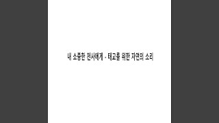 카리브해변에서의 하루