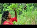Some rare recipes of kohila | kohila | part 2 | poorna - The nature girl |