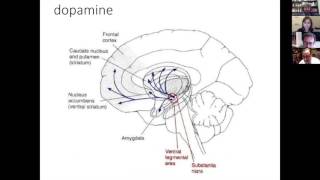 Is Neuroscience Undercutting Moral Responsibility? – A Talk by Professor Nathaniel Daw