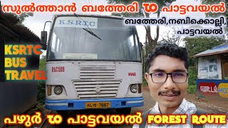 കാടിനെ അറിഞ്ഞ് നീലഗിരിയുടെ അതിർത്തിയിലേക്ക് | pattavayal | sulthan bathery | nambikolly