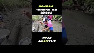 Pt1/3 船蛆，以前人人喊打的害虫，如今为何成了吃货们的最爱？【科普任意门】#shorts