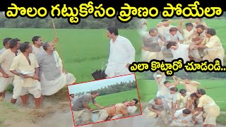 పొలం గట్టుకోసం ప్రాణం ఎలా తీశారో చూడండి | Latest Telugu Movie Scenes | Telugu Super Hit Fight Scenes