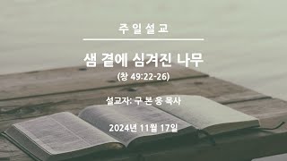 뉴저지장로교회/구본웅 목사/2024-1117/샘 곁에 심겨진 나무/창 49:22-26