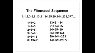 Fibonacci Series in Python | Explained with Example | Tamil | Python Programming | hems hema