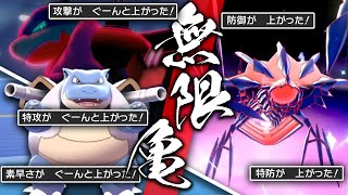 【万年生きる亀】無限に能力を上昇させていく、カメックス×ムゲンダイナ【ポケモン剣盾】