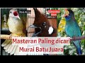 MASTERAN MURAI BATU | ISIAN KAPAS TEMBAK, CILILIN, TENGKEK BUTO