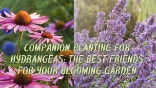 Companion Planting for Hydrangeas: The Best Friends for Your Blooming Garden