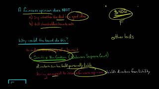 Fairness Opinion (Mergers and Acquisitions)