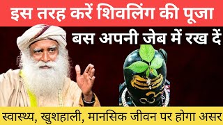 इस महाशिवरात्रि इस तरह करें शिवलिंग की पूजा, जीवन में स्वास्थ्य और खुशहाली आएगी | Sadhguru Hindi