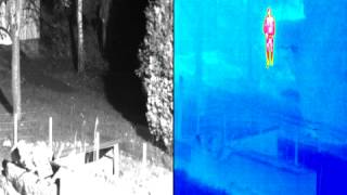 Mobotix Thermal Camera  -  Shadow