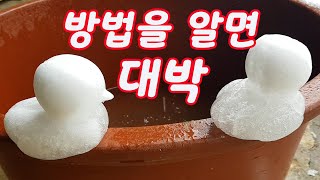 눈오리 잘 만드는 방법, 건설을 습설로 만들어주기, 물로 접착하는 방법, 눈오리로 컬링 하기, 가족 요양보호.