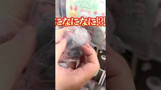 想定外のフィギュアが出てくる!? ちいかわソフビフィギュア3ガチャぶん回す！ #shorts #short #ちいかわ