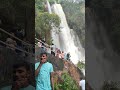 తిరుపతి తుఫాన్ కరణంగా naga vanam park forest part 2 viral shortsvideo youtube cherryposhithworld