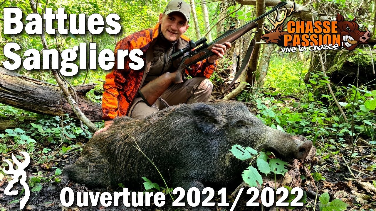 Chasse Aux Sangliers En Battue - Ouverture 2021/2022 - YouTube