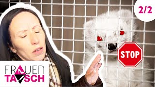 Hilfe! Die Frettchen kommen - 2/2 - Menschliche Sauberkeit vs. Museum | Frauentausch