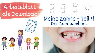 Meine Zähne Teil 4 - Der Zahnwechsel. Warum wackelt mein Zahn? Sachunterricht Grundschule - mit AB