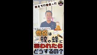 僧侶は『蚊』『蜂』『クリボー？』に襲われたら、どうする？ 〜みんなの知らない、僧侶の世界〜　#Shorts