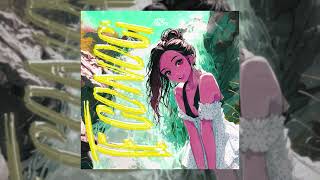 bxkq, PXLWYSE - TE CONOCÍ - Slowed (Official Audio)